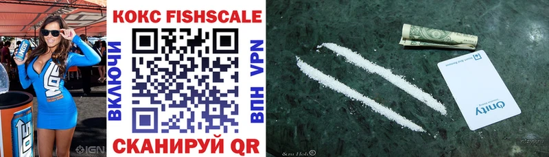 COCAIN FishScale  как найти закладки  Гатчина 