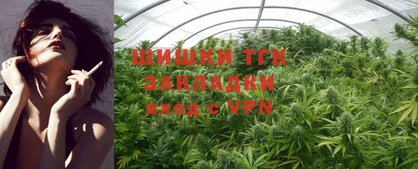 бошки Белокуриха