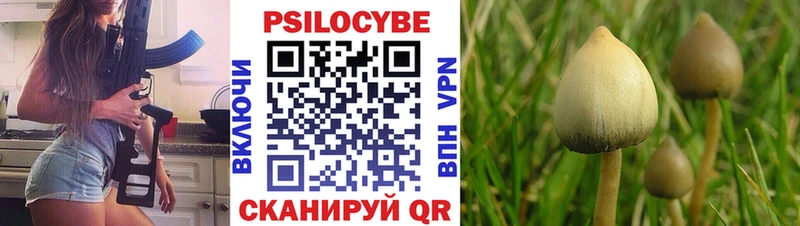 Псилоцибиновые грибы MAGIC MUSHROOMS Гатчина